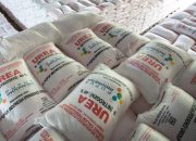 Alokasi Pupuk Subsidi Kab Sumedang Alami Penurunan di Tahun 2024