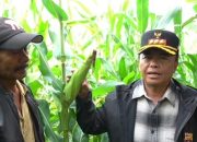 PJ Bupati Sumedang Akan Siapkan 10 Hektare Per Desa