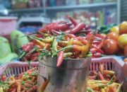 Kenaikan Harga Cabai Melonjak Hingga Rp 100 Ribu Per Kilogram