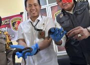 Satreskrim Polresta Pontianak dan Polsek KP3L Berhasil Gagalkan Seludupan Puluhan Kadal Langka Jenis Monitor