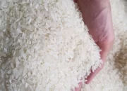 Berikut Rincian Harga Beras Berdasarkan Wilayah