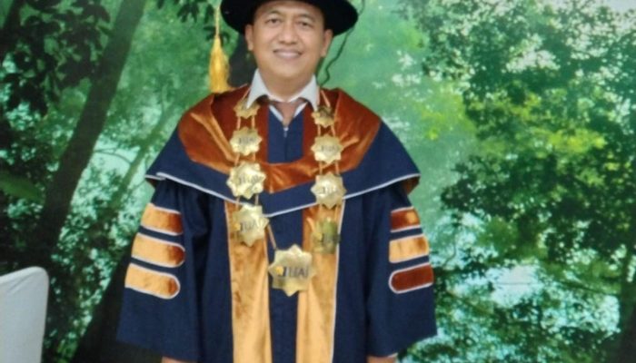 Peneliti HSI, Tanggapi Desakan Pemakzulan Wakil Presiden Gibran Rakabuming Raka