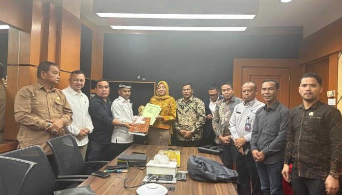 Dony Arega Rajes Minta Kemenpan RB Tuntaskan Nasib Tenaga Honorer di Aceh